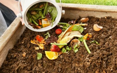 Comment faire son compost maison à partir de vos déchets culinaires ?