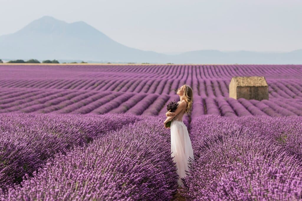 Girl wearing a wedding dress holding lavender flowers in arms posing for photos in the lavender fields of Provence