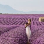 Girl wearing a wedding dress holding lavender flowers in arms posing for photos in the lavender fields of Provence