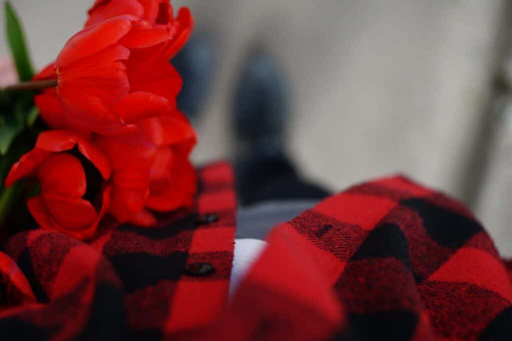 Red tulips rest on a red and black plaid shirt.