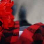 Red tulips rest on a red and black plaid shirt.