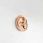 Ear on a white cardboard