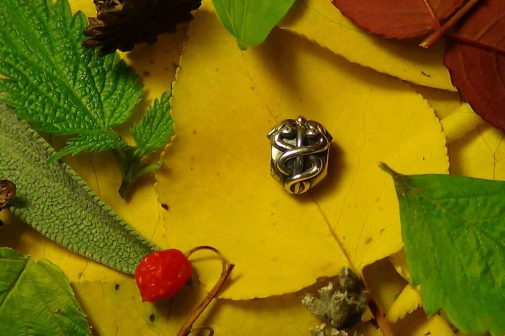 A silver charm rests on a bed of autumn leaves.