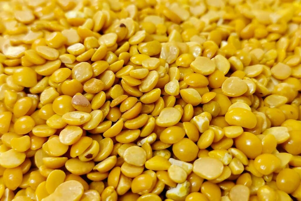 a close up of a pile of yellow corn