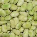 green round fruit in close up photography