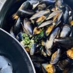 black fish on black round container