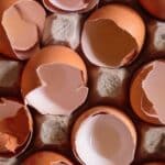 a bunch of eggs that have been broken in half