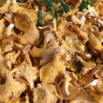 chanterelles at the markets
