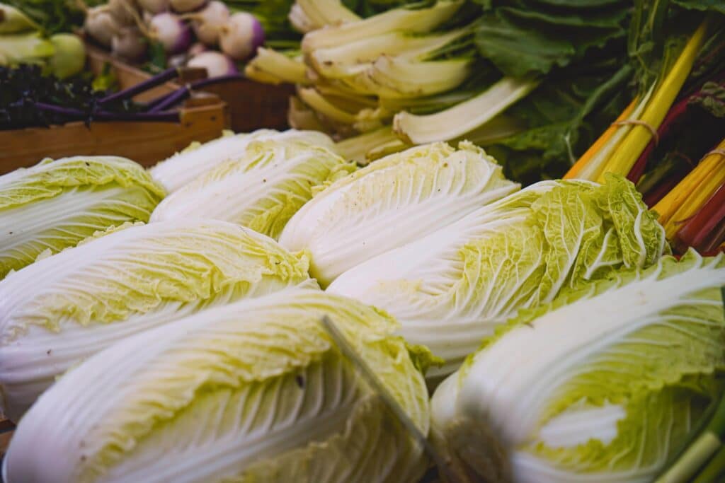 a bunch of white and yellow corn