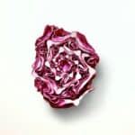 a pink flower with a white background