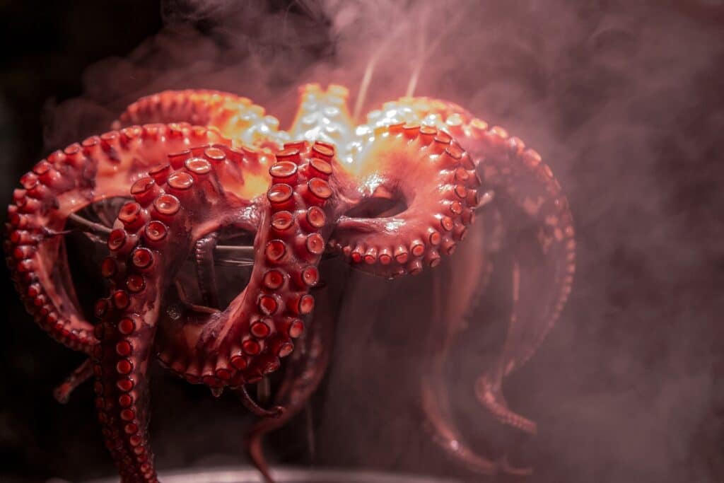 Octopus